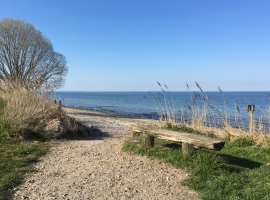 Foto 10