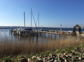 Foto 14
