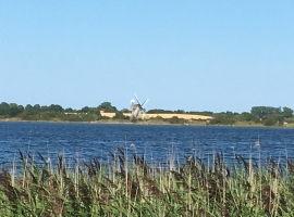 Foto 15