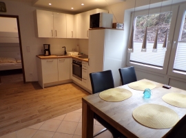Ferienwohnung Typ M - Foto 1