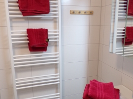 Spiegelschrank und Handtuchheizkörper im Duschbad