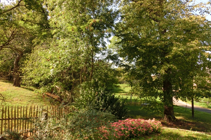 Aussicht vom Wohnzimmer in den Garten