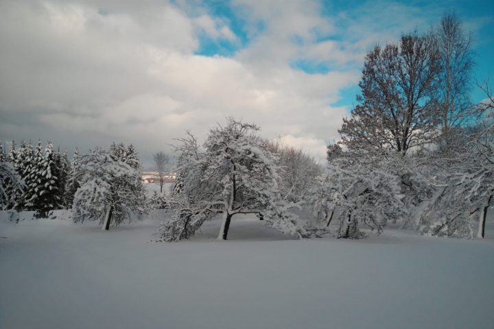 Winterimpressionen im Garten