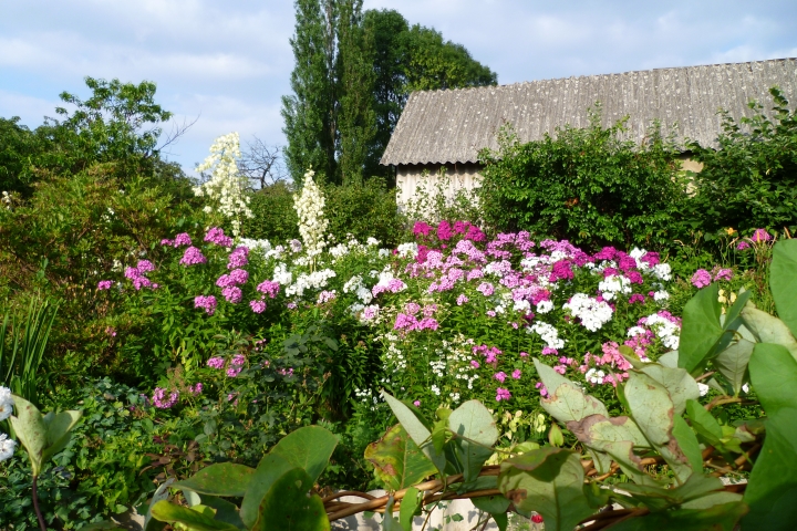 Sommerimpressionen vom Blumengarten vorm Haus