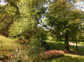 Foto 17