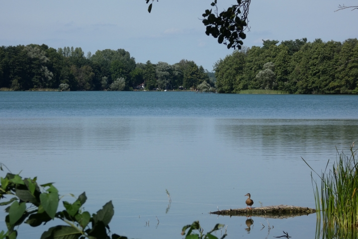 Ausflugsziel: Mohrin am See