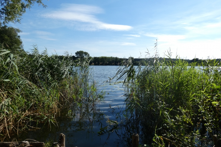 Angelstelle am Großen Krebssee. Angelkarten können im Ort erworben werden. 