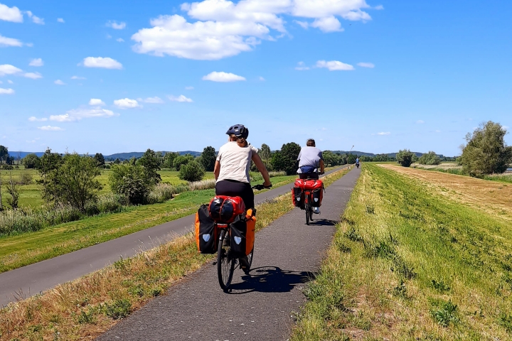 Radler auf dem Oder-Neiße-Radweg