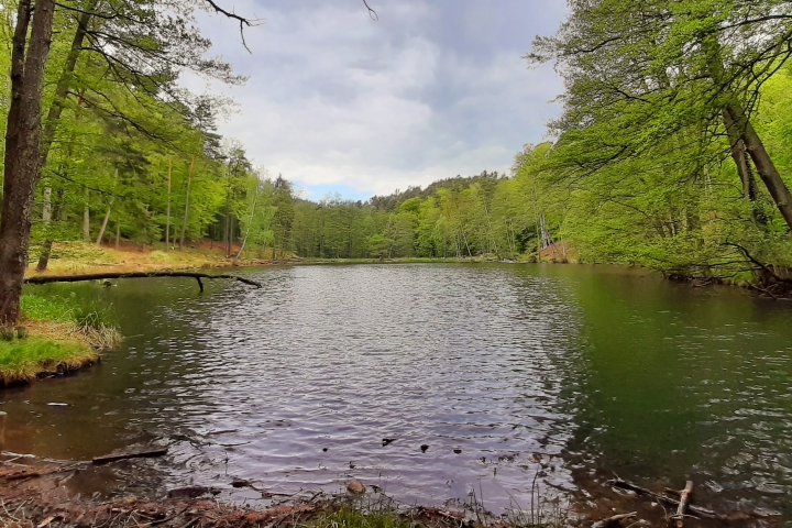 Der Teufelssee bei Bad Freienwalde, ein Wandergebiet