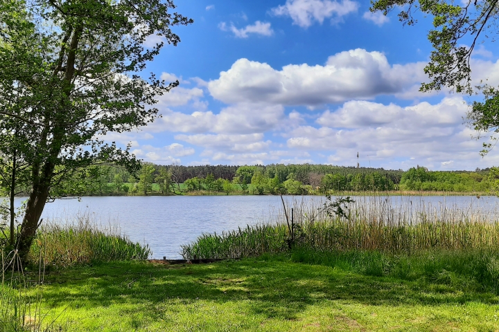 Liegewiese am Großen Krebssee bei Hohenwutzen