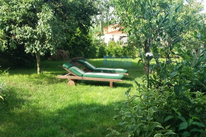 Sommer im Garten