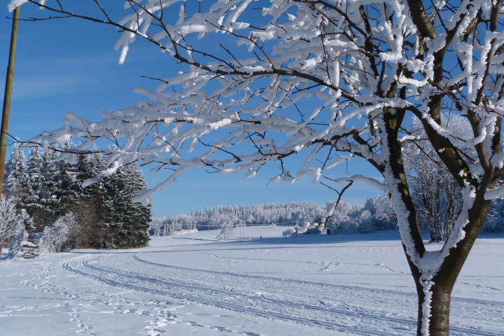 Oberholzhau im Winter