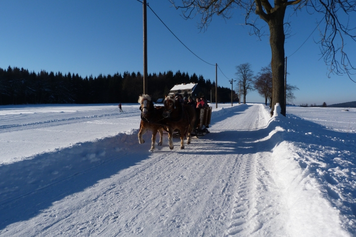 Eine Kutschfahrt