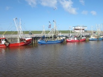 Foto 19