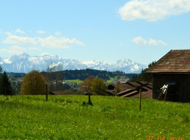 Foto 22