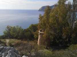 Foto 21
