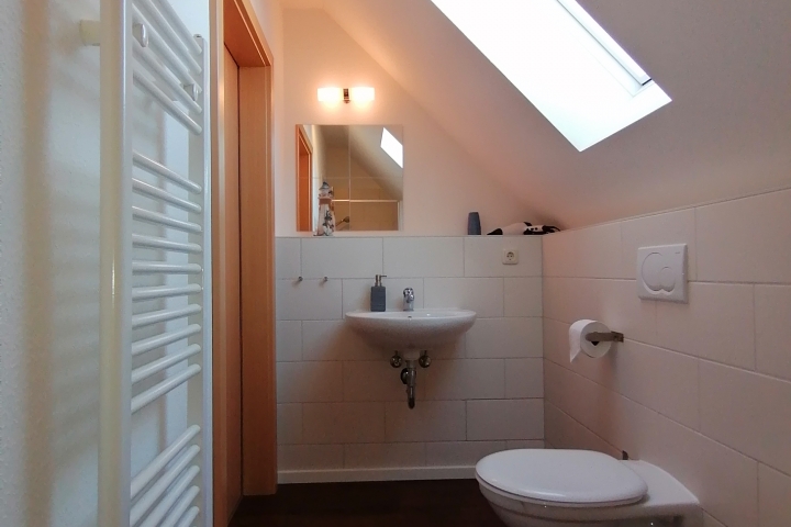 Tageslichtbad mit Dusche