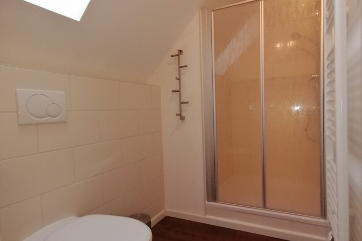 Tageslichtbad mit Dusche