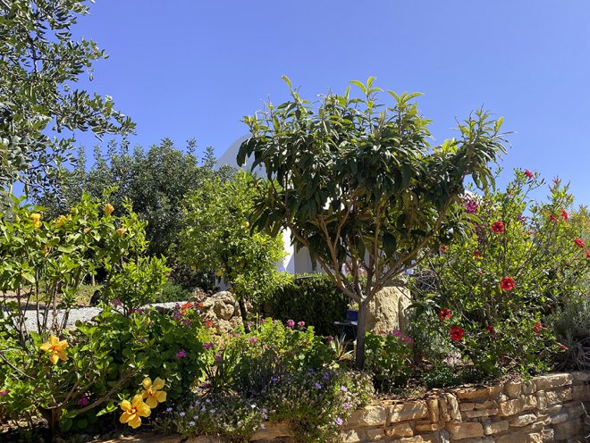 Garten Impressionen