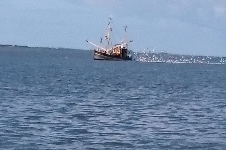 Ausflug an die Küste