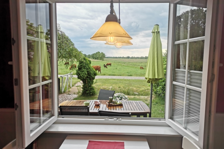 Ferienhaus Dinkla | Blick aus dem Fenster und von der Terrasse 