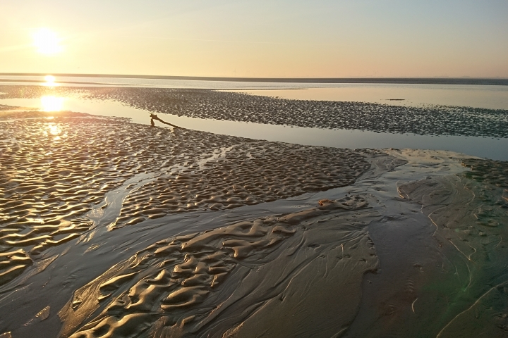 Am Baltrumer Fahrwasser, natürliche Dynamik