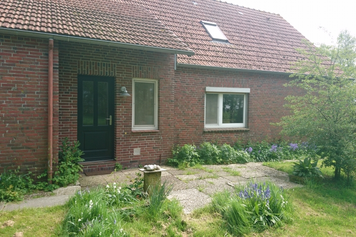 Naturnaher Garten
Hintereingang 