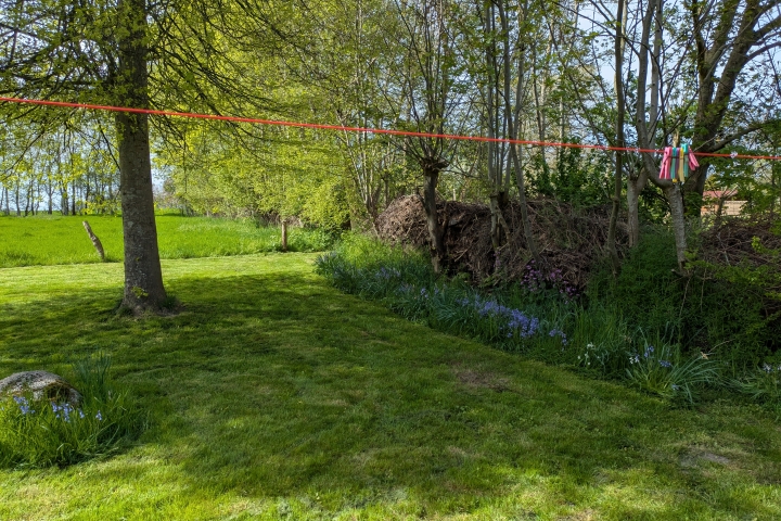 Ein Blick in den Garten 