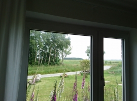 Foto 31