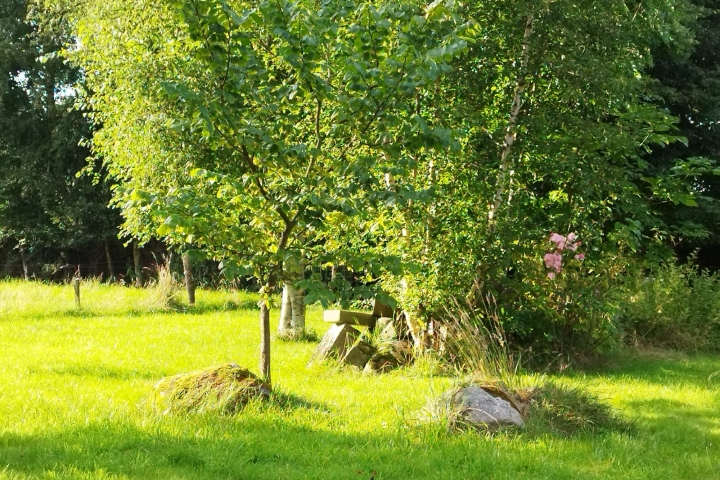  Blick in den Garten 