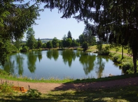 Foto 19