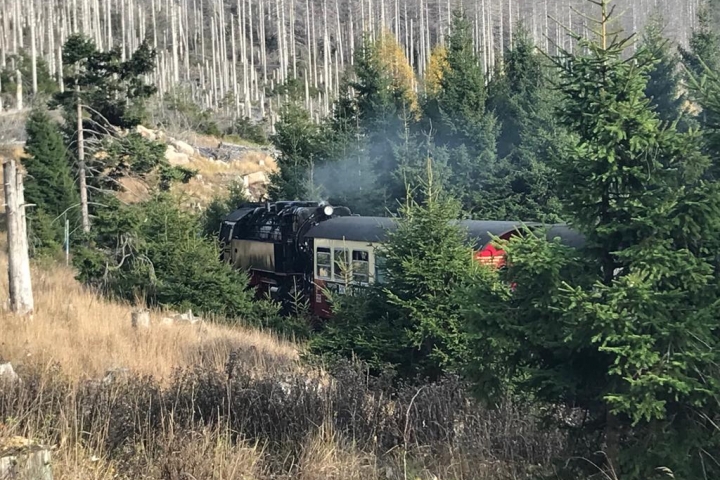 Schmalspurbahn zum Brocken