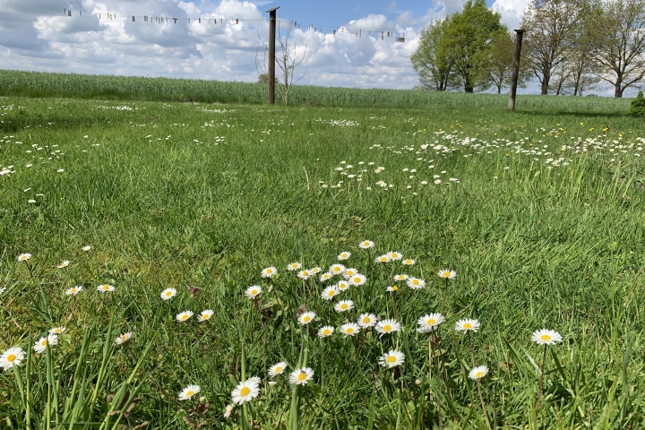 Der Frühling ist hier sooo schön…