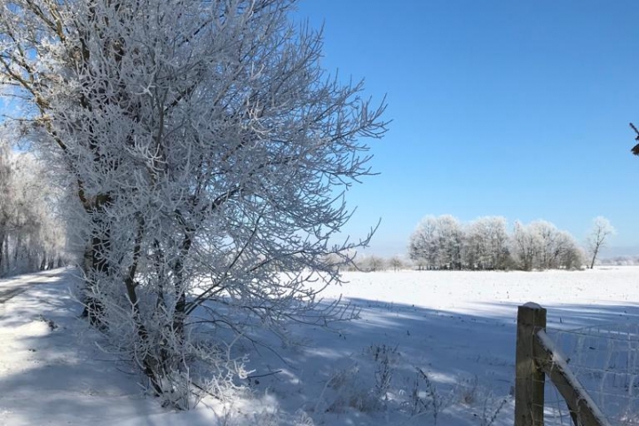 Der Winter von seiner schönsten Seite…