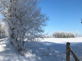 Der Winter von seiner schönsten Seite…