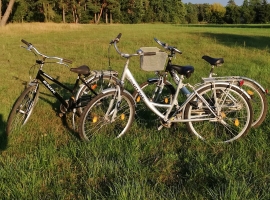 Foto 13