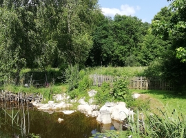 Foto 10