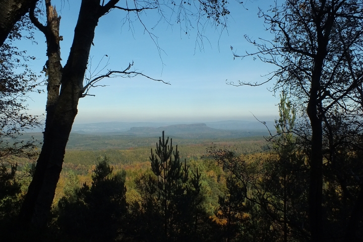 Blick zu den Zschirnsteinen