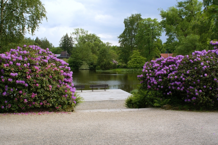 Blick auf den Kurparksee