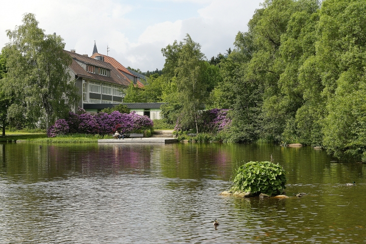 Der Kurparksee