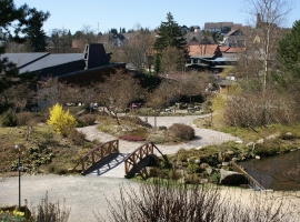 Foto 14