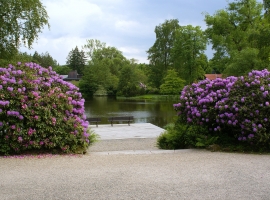 Foto 18