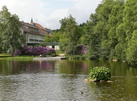 Foto 19