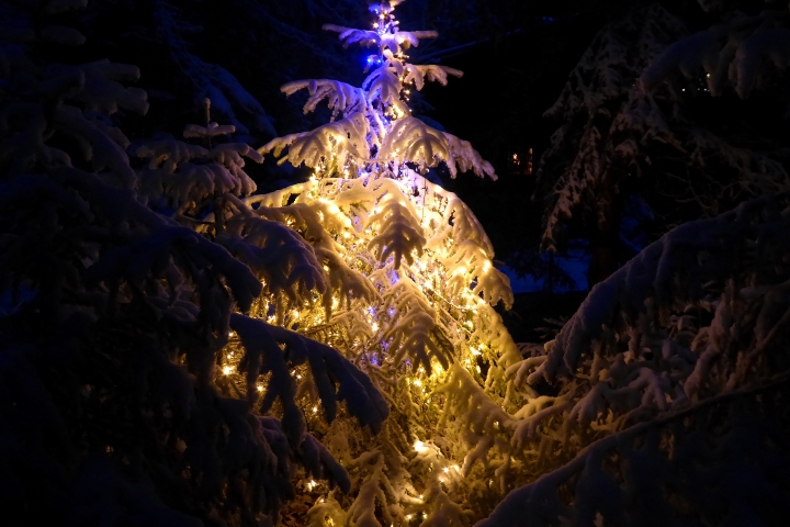 Weihnachtsstimmung pur...