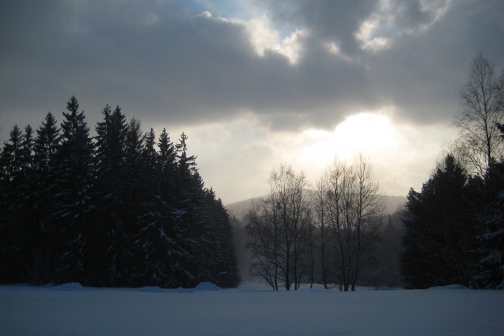Der Waldwinter in der bergigen Gegend des Bayerwaldes...