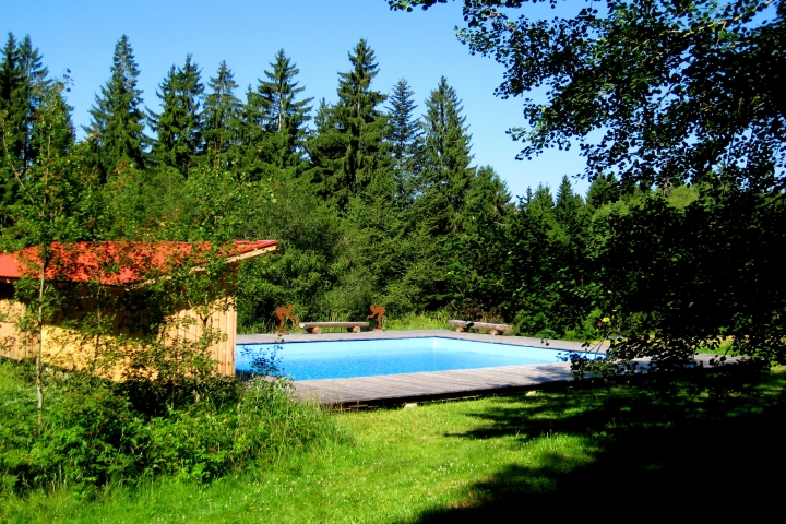 Das quellwassergespeiste Waldschwimmbad - ein Sommerspaß vom Feinsten...