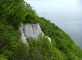 Foto 16