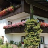 Ferienwohnung im Gästehaus Danzer