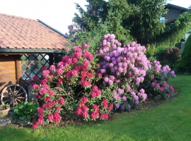 Foto 16