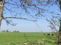 Foto 16
